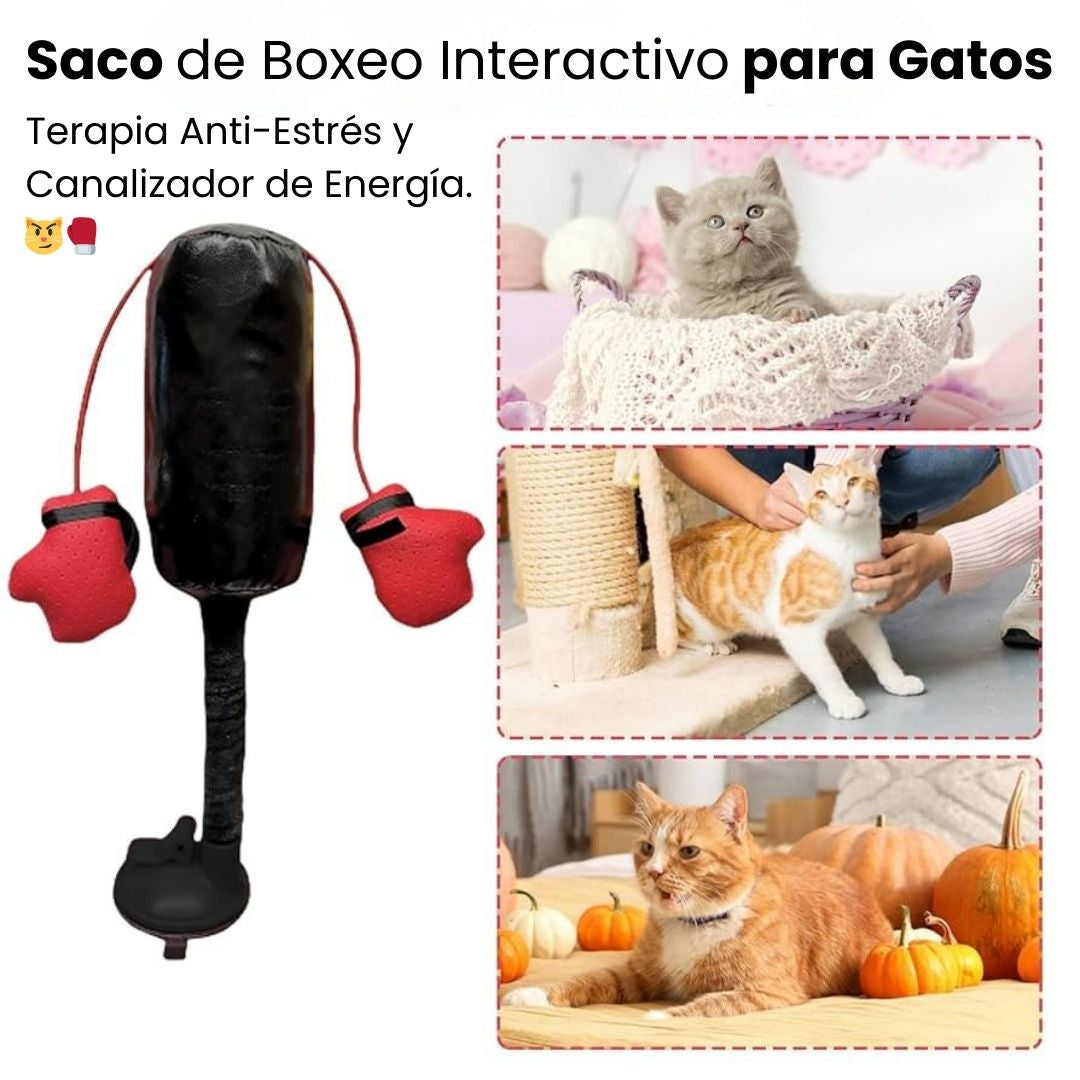 Saco de Boxeo Interactivo para Gatos | Terapia Anti-Estrés y Canalizador de Energía. 😼🥊