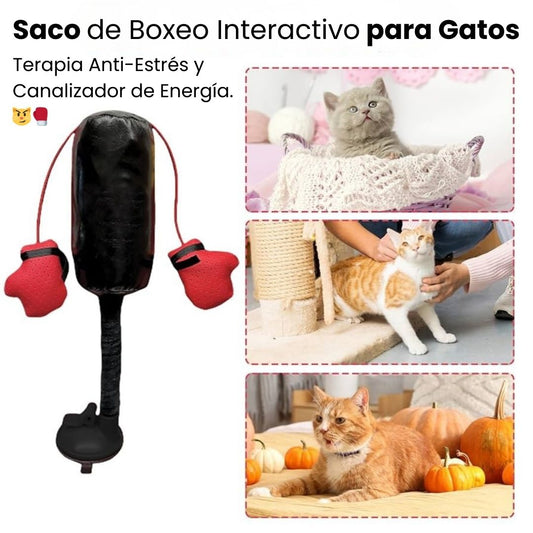 Saco de Boxeo Interactivo para Gatos | Terapia Anti-Estrés y Canalizador de Energía. 😼🥊