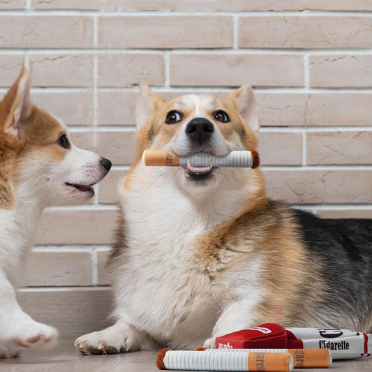 Juguetes Para Perros Con Forma De Cigarrillo