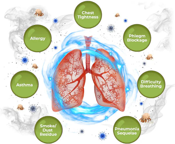 Spray de hierbas naturales: apoyo pulmonar y respiratorio