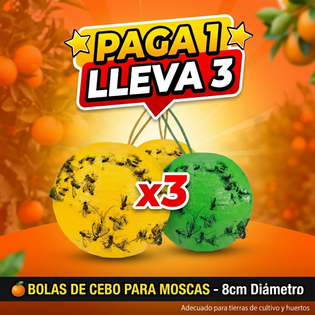 Bolas de Cebo para Moscas: Sistema de Trampa para Huertos y Tierras de Cultivo🪰🦟