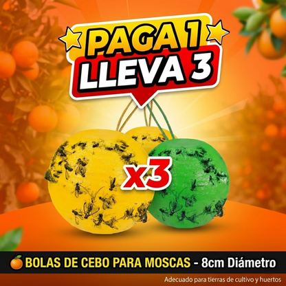 Bolas de Cebo para Moscas: Sistema de Trampa para Huertos y Tierras de Cultivo🪰🦟