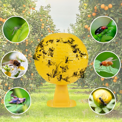 Bolas de Cebo para Moscas: Sistema de Trampa para Huertos y Tierras de Cultivo🪰🦟