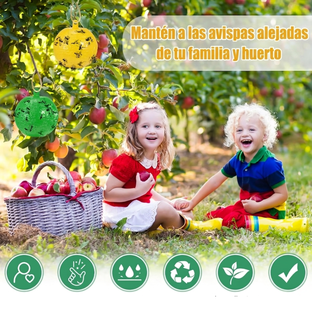 Bolas de Cebo para Moscas: Sistema de Trampa para Huertos y Tierras de Cultivo🪰🦟