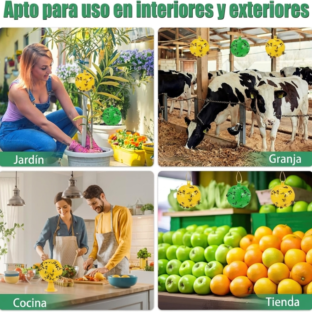 Bolas de Cebo para Moscas: Sistema de Trampa para Huertos y Tierras de Cultivo🪰🦟
