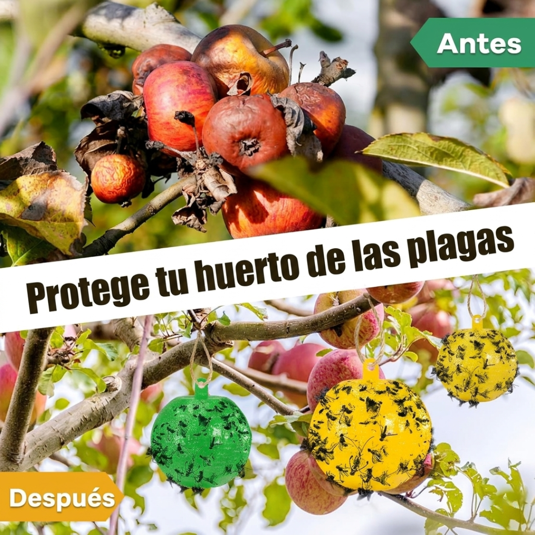 Bolas de Cebo para Moscas: Sistema de Trampa para Huertos y Tierras de Cultivo🪰🦟