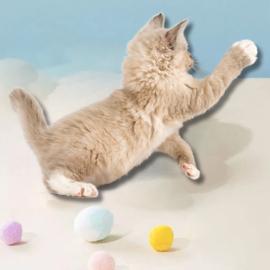 LANZADOR DE PELOTAS DE PELUCHE: Kit de 20 pelotas interactivas🏐😽
