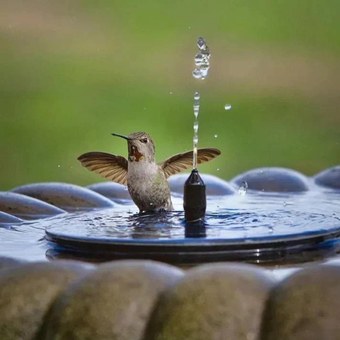 FUENTE DE AGUA SOLAR FLOTANTE: Sistema de Aspersión Eco-Friendly🐦⛲