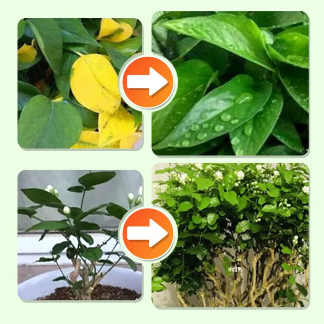 BARRAS DE NUTRICIÓN VEGETAL:  Sistema de Liberación Lenta (Pack x100)🌱🪴
