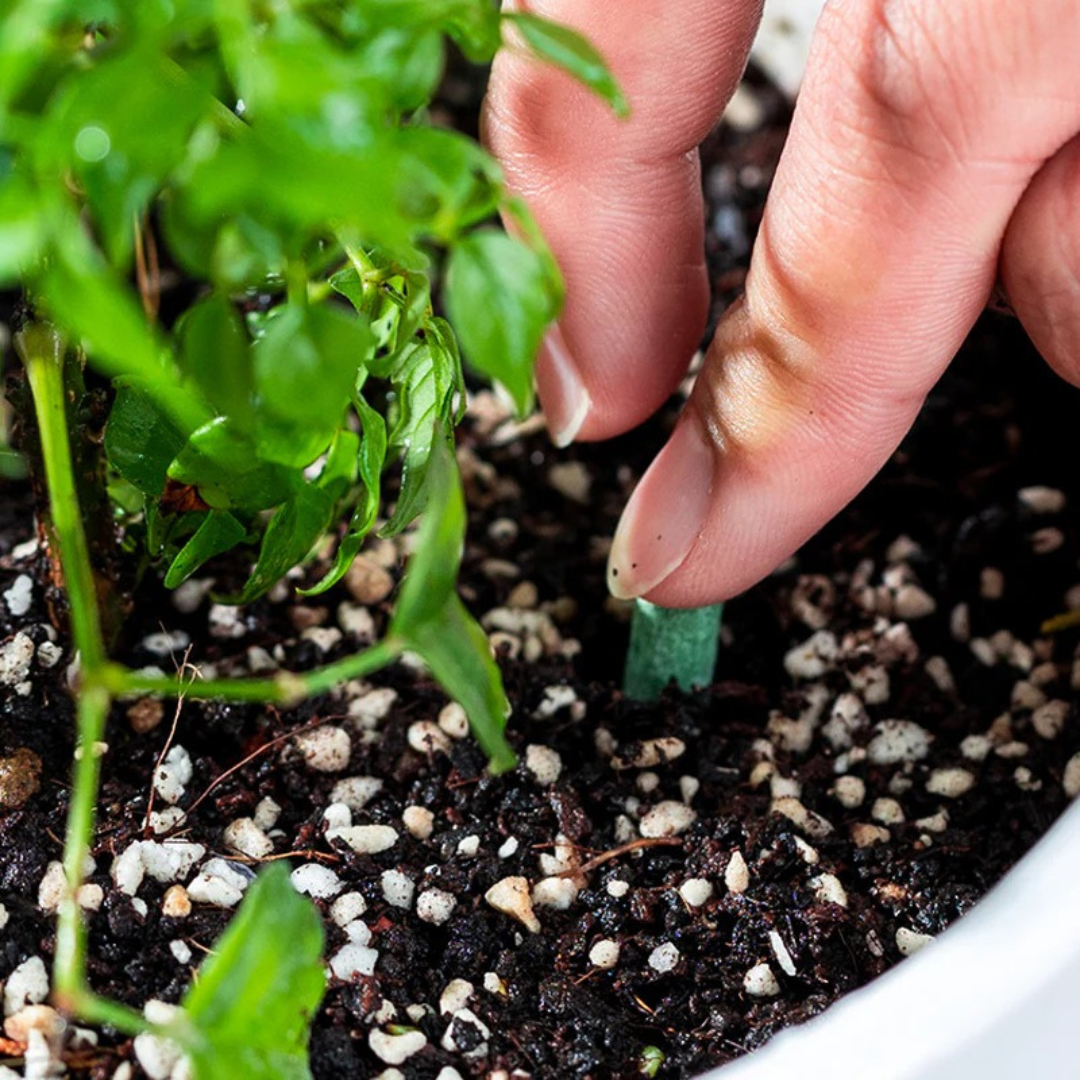 BARRAS DE NUTRICIÓN VEGETAL:  Sistema de Liberación Lenta (Pack x100)🌱🪴