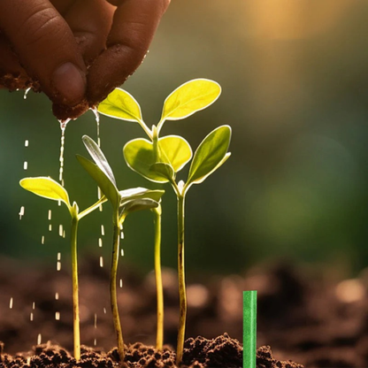 BARRAS DE NUTRICIÓN VEGETAL:  Sistema de Liberación Lenta (Pack x100)🌱🪴