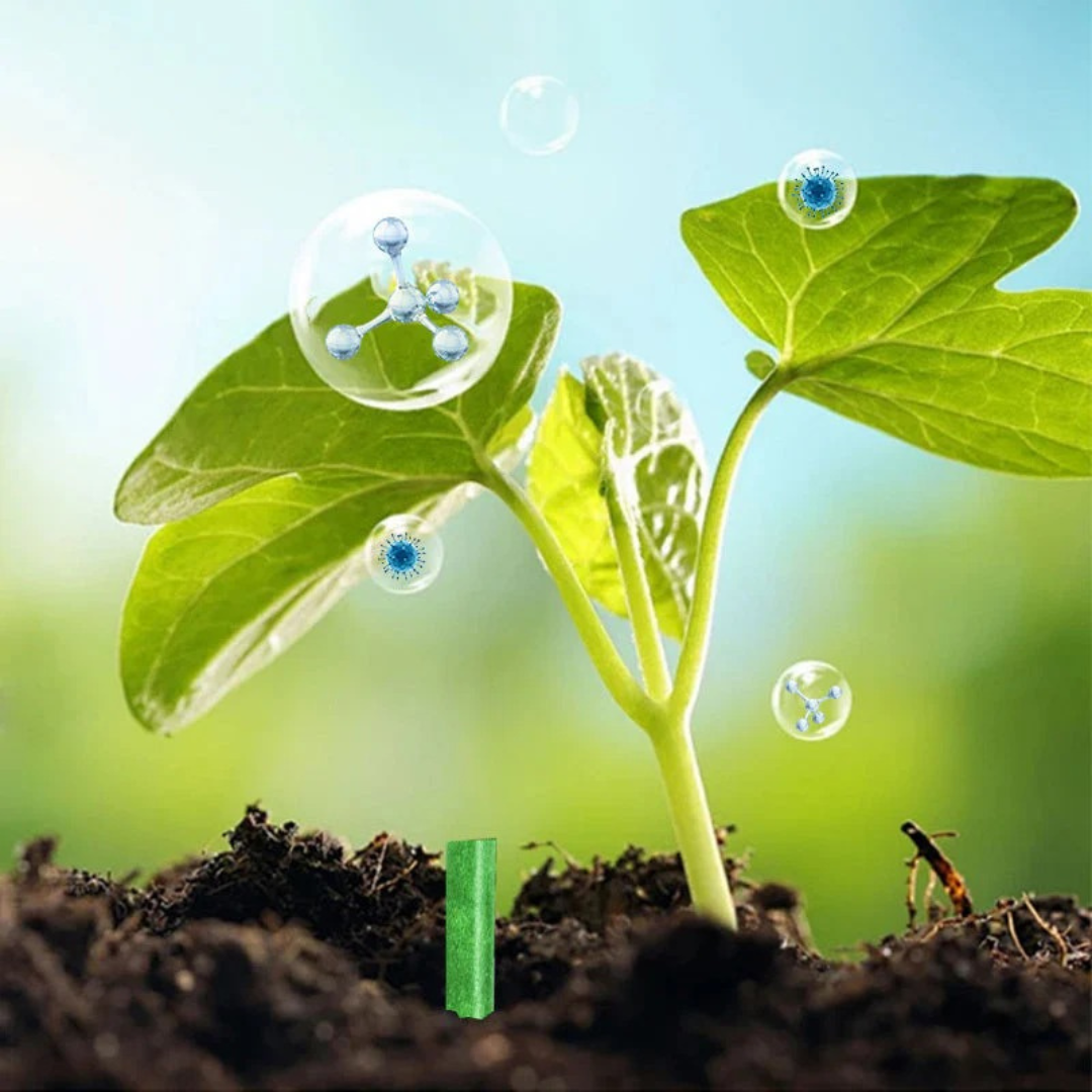 BARRAS DE NUTRICIÓN VEGETAL:  Sistema de Liberación Lenta (Pack x100)🌱🪴