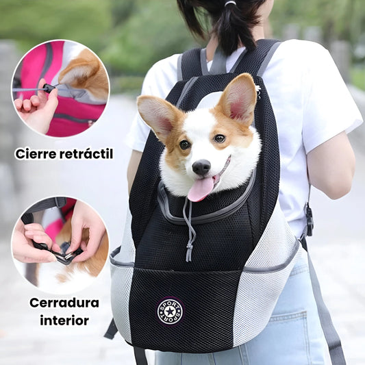 Morral Para Transporte De Mascotas (Gratis libro digital)