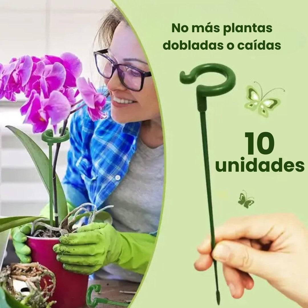 Soportes Anticaídas para Plantas y Flores (10 unidades)