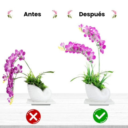 Soportes Anticaídas para Plantas y Flores (10 unidades)