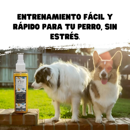 Spray de entrenamiento para ir al baño Petsypaws